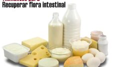 Alimentos para recuperar la flora intestinal