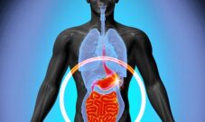 Dónde se encuentra la flora intestinal