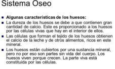 Cuáles son las características del sistema óseo