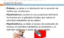 Enfermedades del sistema endocrino