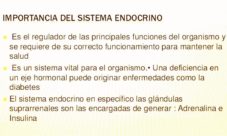 Importancia del sistema endocrino en el ser humano