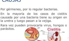 Causas de una infección urinaria