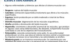 Enfermedades del sistema muscular
