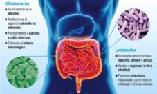 Bacterias beneficiosas para la flora intestinal