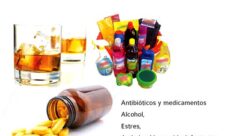 Cosas que dañan la flora intestinal