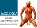 ¿Cuál es la ciencia que estudia el sistema muscular?