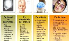 ¿Qué es una fractura del cráneo?