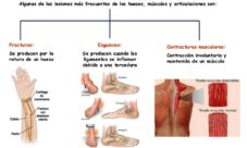 ¿Cuáles son las lesiones más frecuentes del aparato locomotor?